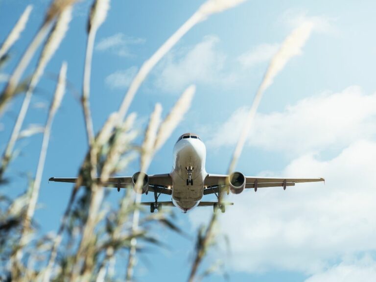 plane sustainable aviation fuel