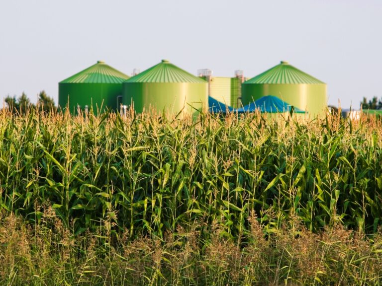 Biofuels' carbon reduction potential